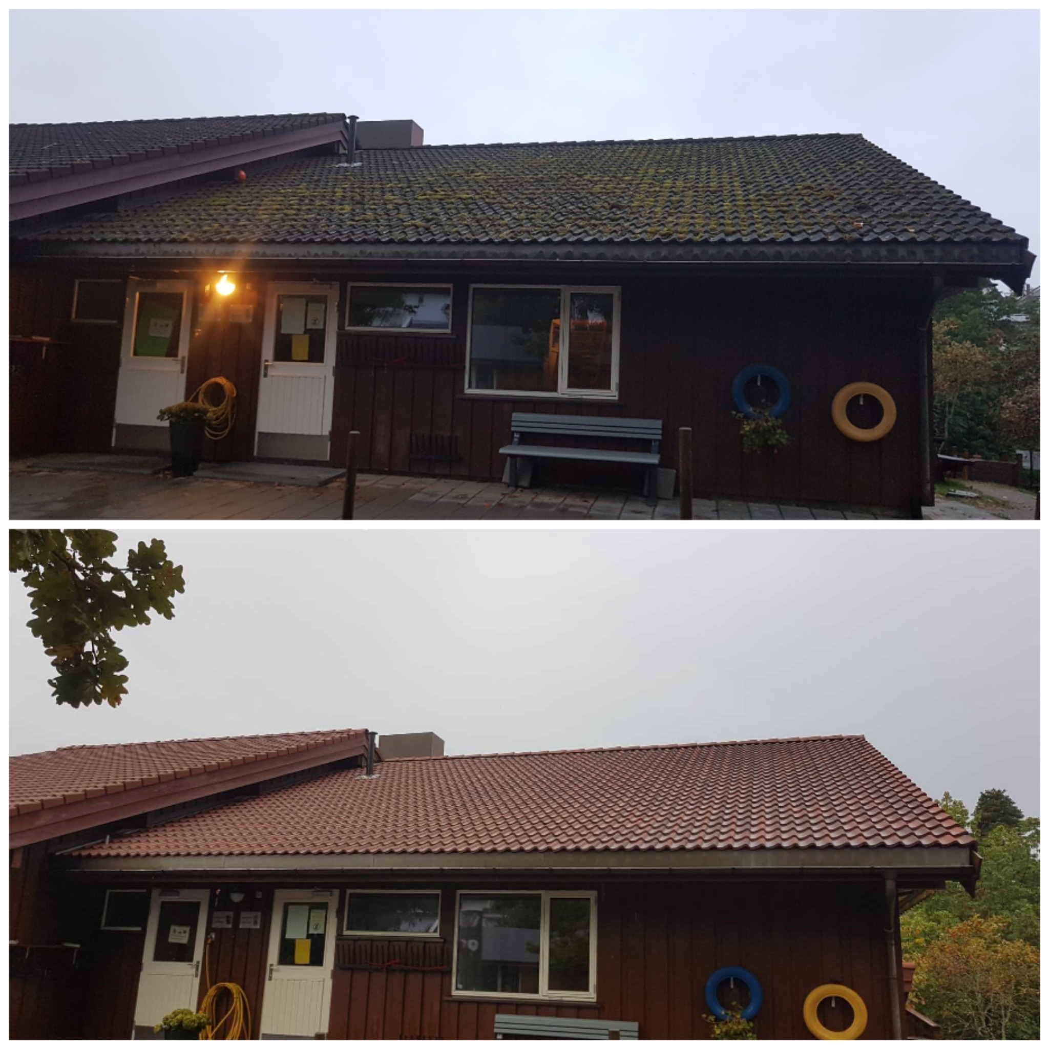 Porównanie dachu budynku przed i po czyszczeniu: dach pokryty mchem i algami kontra czysty, czerwony dach ceramiczny.