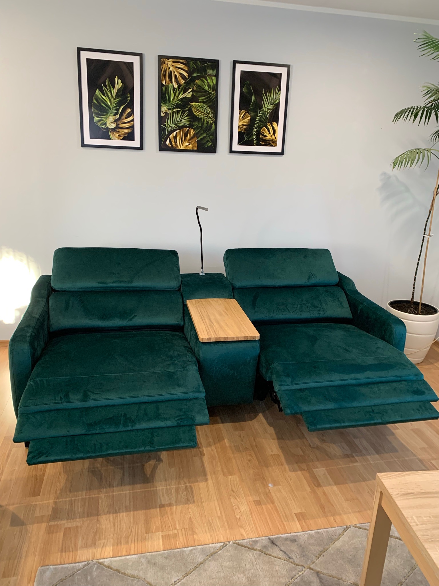 Dwuosobowa, rozkładana sofa tapicerowana w kolorze butelkowej zieleni z drewnianym stolikiem pośrodku, ustawiona na parkiecie, z trzema obrazami z motywami roślinnymi na ścianie i rośliną...