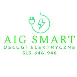 AIG SMART Adrian Górski - Montaż Alarmów Łebno