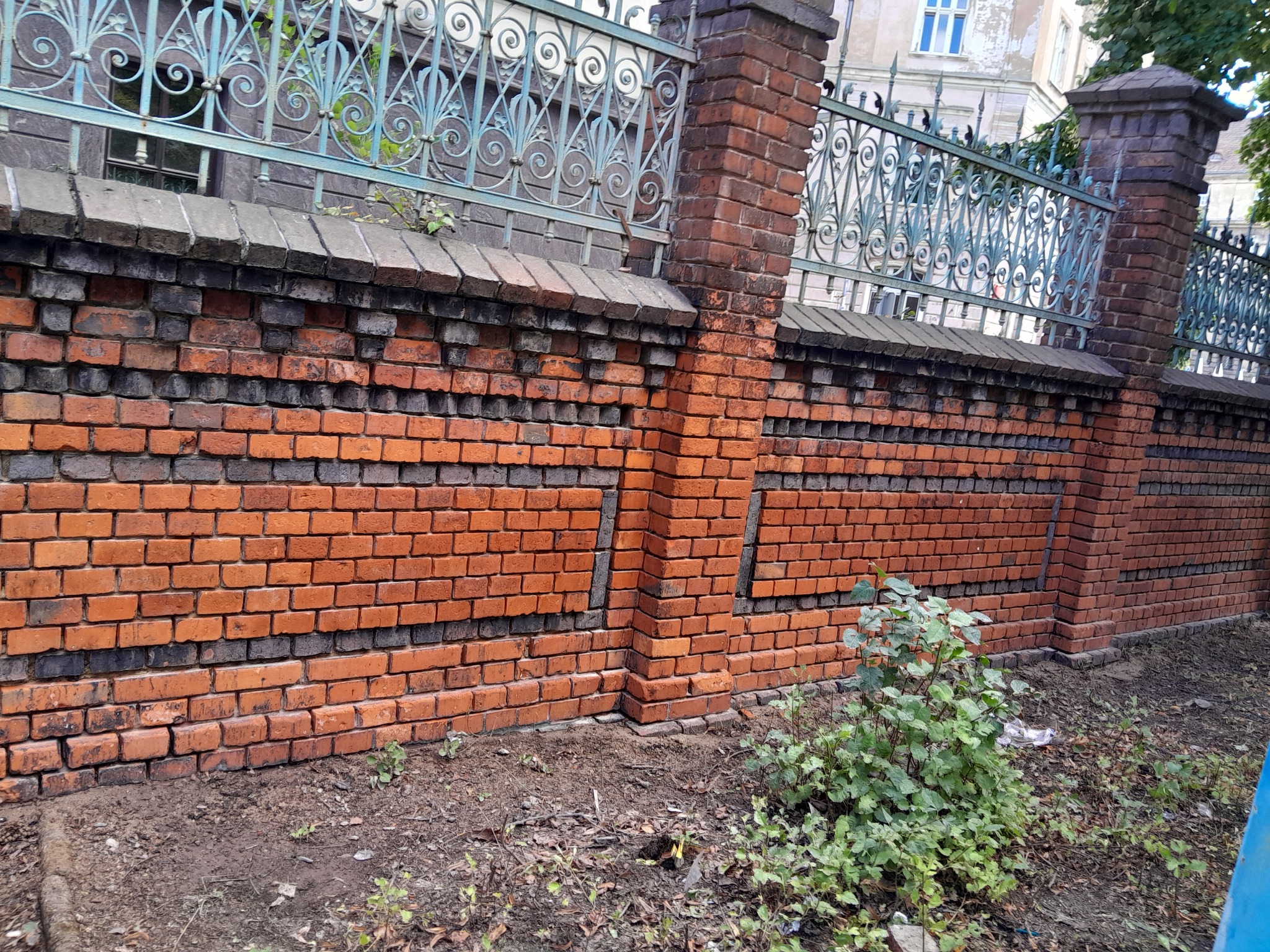 Ceglany mur z dekoracyjnym metalowym ogrodzeniem, widoczne ślady wilgoci i zabrudzeń na cegłach, zarośnięte podłoże.