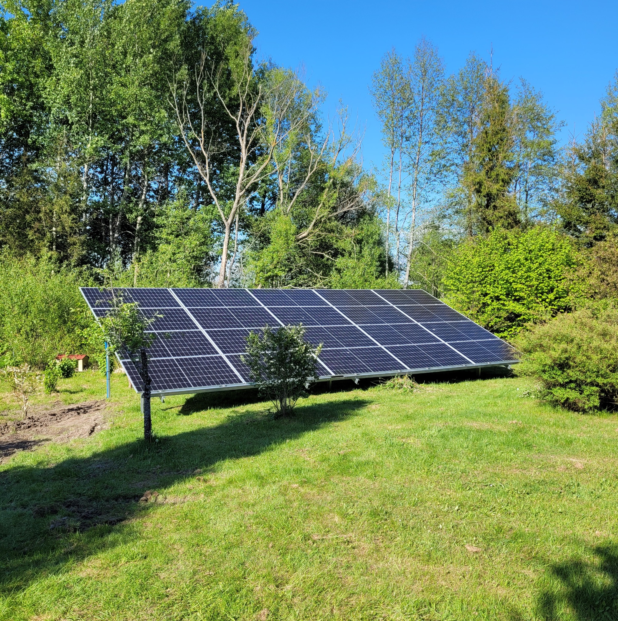 Panel fotowoltaiczny na trawniku w ogrodzie, z młodymi drzewkami w tle, widok z poziomu gruntu w słoneczny dzień.