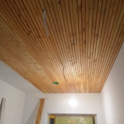 sufit - deska elewacyjna modrzewiowa