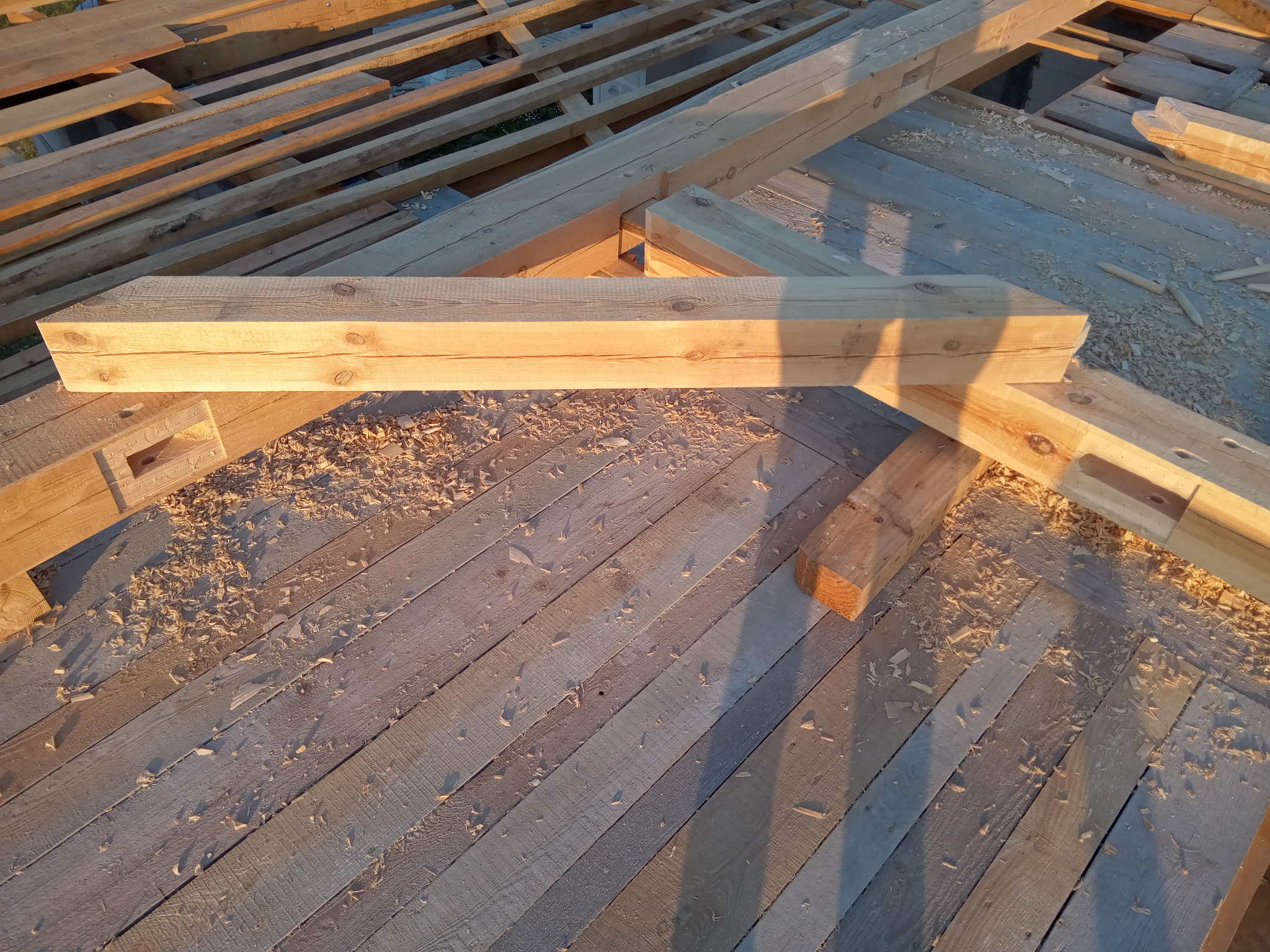 Fragment drewnianej konstrukcji dachu w trakcie budowy, widoczne elementy więźby dachowej i deski z wiórami drewna w ciepłym świetle słonecznym.