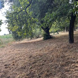 Koszenie trawy Tarnów 4