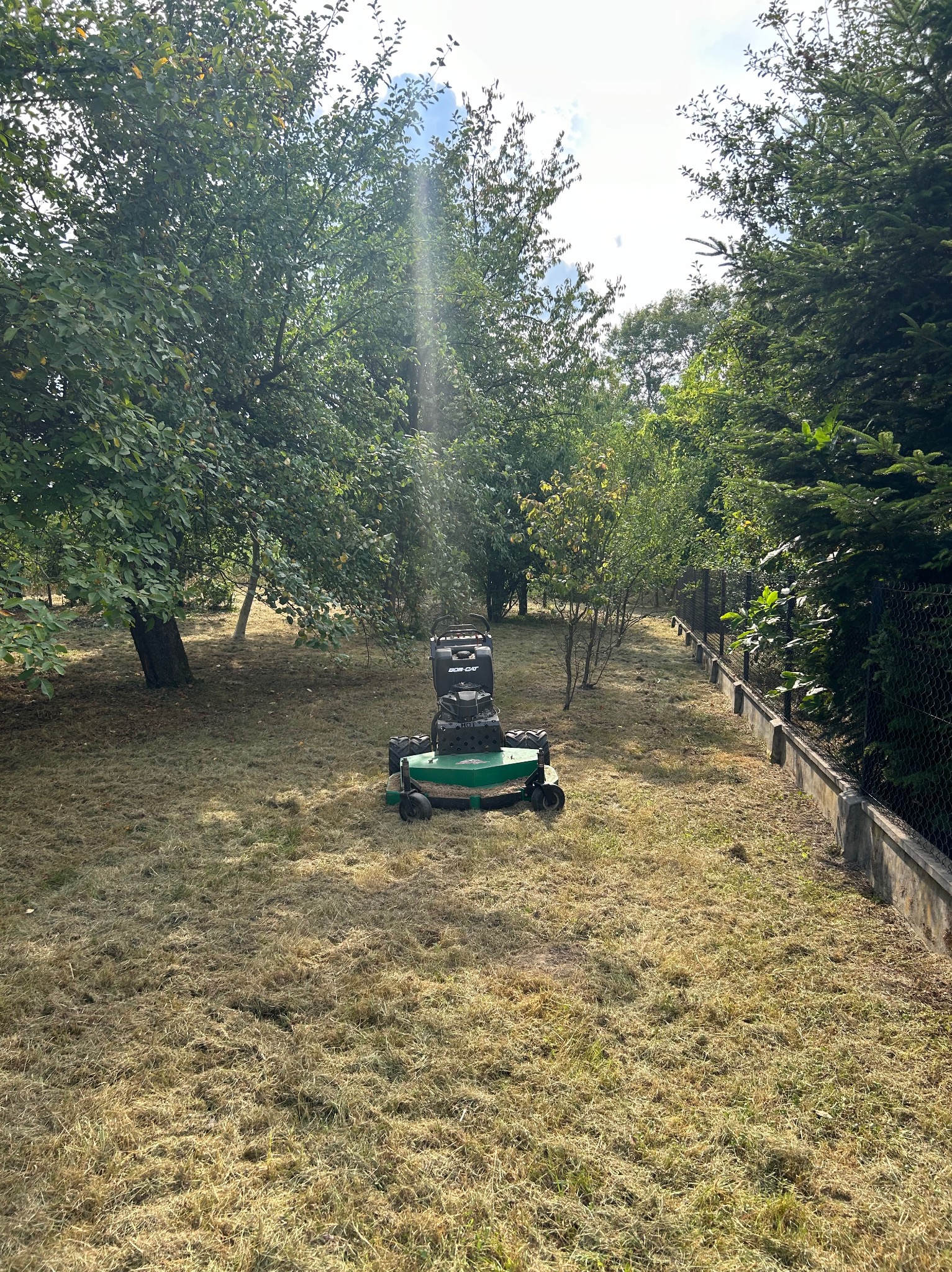 Profesjonalna kosiarka spalinowa Bob-Cat na trawniku po koszeniu, widoczne resztki skoszonej trawy, w tle drzewa i ogrodzenie.