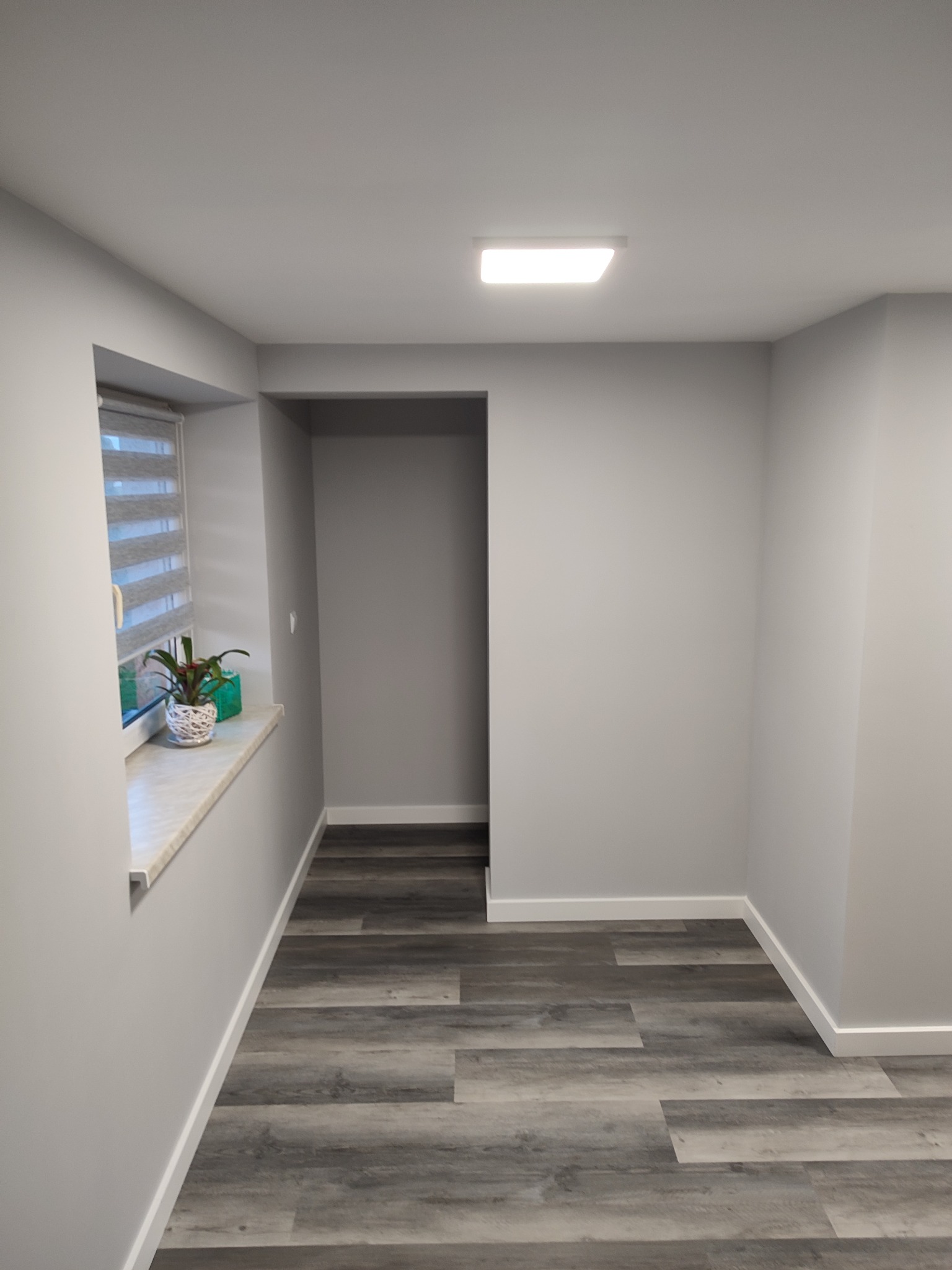 Szare panele podłogowe w korytarzu po remoncie, z widocznym oknem z żaluzjami i rośliną doniczkową. Ściany pomalowane na szaro, białe listwy przypodłogowe.