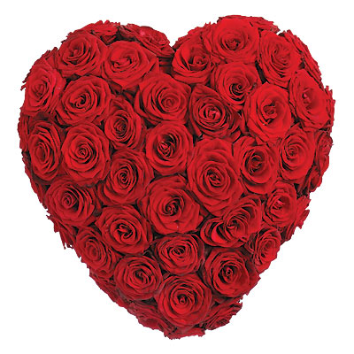 Wszystkich Świętych - Kwiaciarnia Mandragora