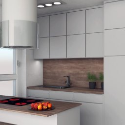 Format Przestrzeni AGNIESZKA BRUŚ-BADLAK - Wizualizacja nowoczesnej kuchni z białymi szafkami, drewnianym blatem, płytą indukcyjną z owocami, okapem cylindrycznym i rośliną doniczkową przy oknie.