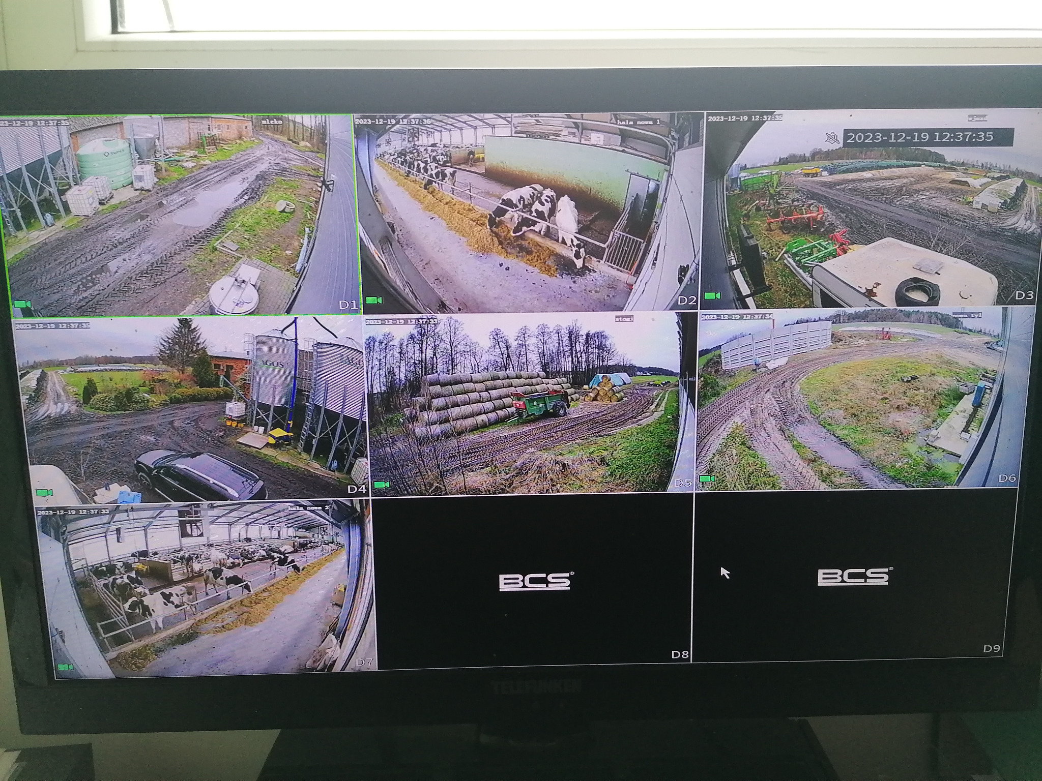 Ekran monitora systemu monitoringu wizyjnego BCS z podglądem z dziewięciu kamer na terenie gospodarstwa rolnego, w tym widok krów w oborze, silosów, pól uprawnych i dróg dojazdowych.