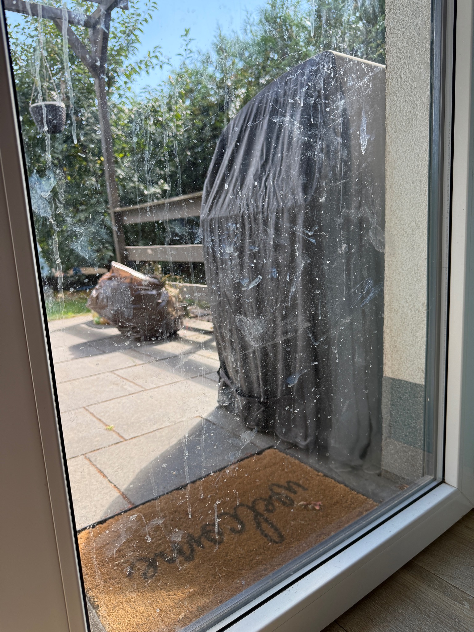 Zabrudzone okno z widokiem na zewnątrz, gdzie widać zadaszony grill, donicę i chodnik. Na dole wycieraczka z napisem Welcome.