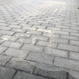 Wycinka drzew Wyszków 2