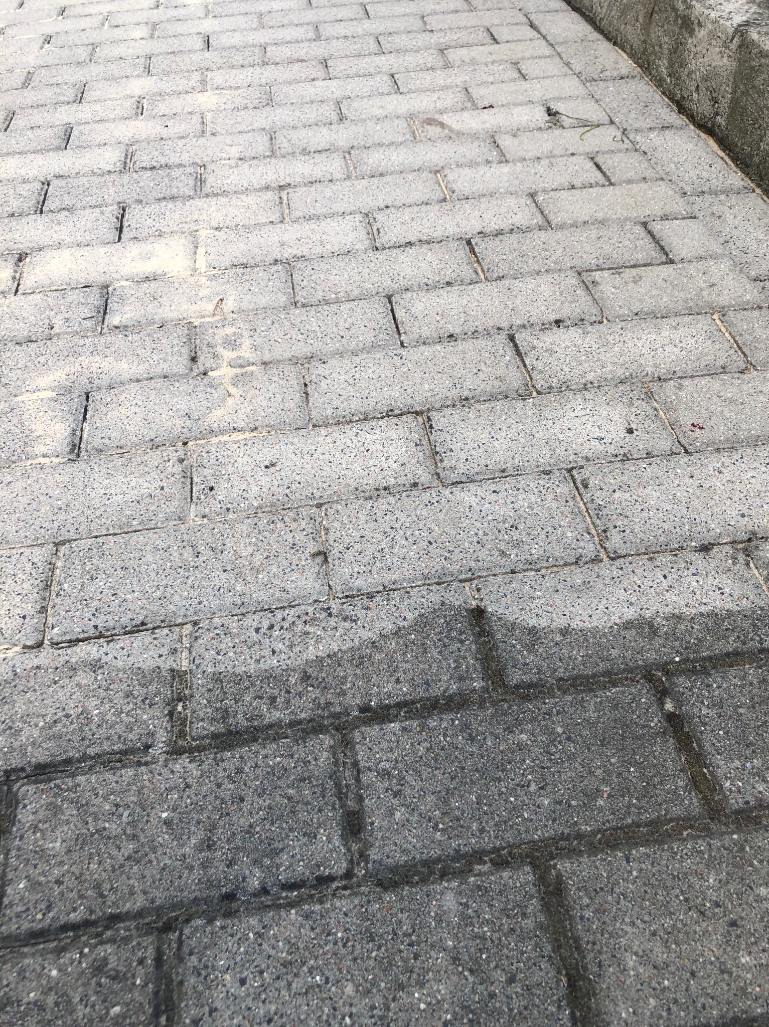 Szara kostka brukowa, częściowo mokra, z widocznymi śladami czyszczenia, z bliska.