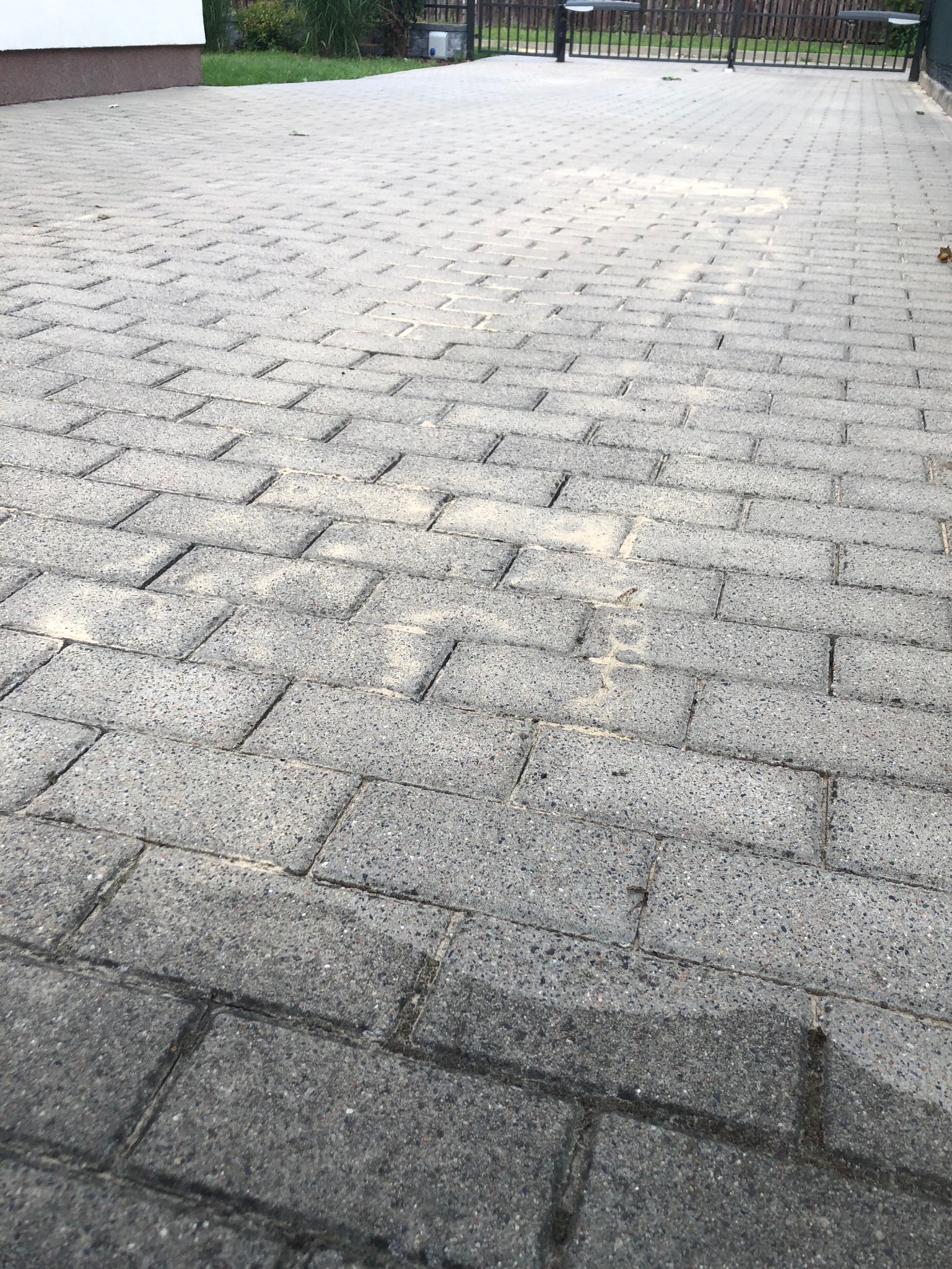 Szara kostka brukowa na podjeździe, częściowo umyta, z widocznymi śladami piasku w spoinach, prowadząca do metalowej bramy.