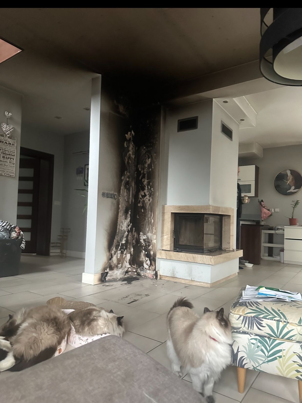 Salon po pożarze: okopcona ściana przy kominku, uszkodzone gładzie, dwa koty na pierwszym planie, widoczny fragment kominka z marmurową obudową.