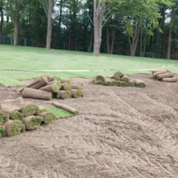 Rozłożone i zwinięte rolki trawy na przygotowanym terenie, widoczne ślady opon, w tle trawnik i drzewa.