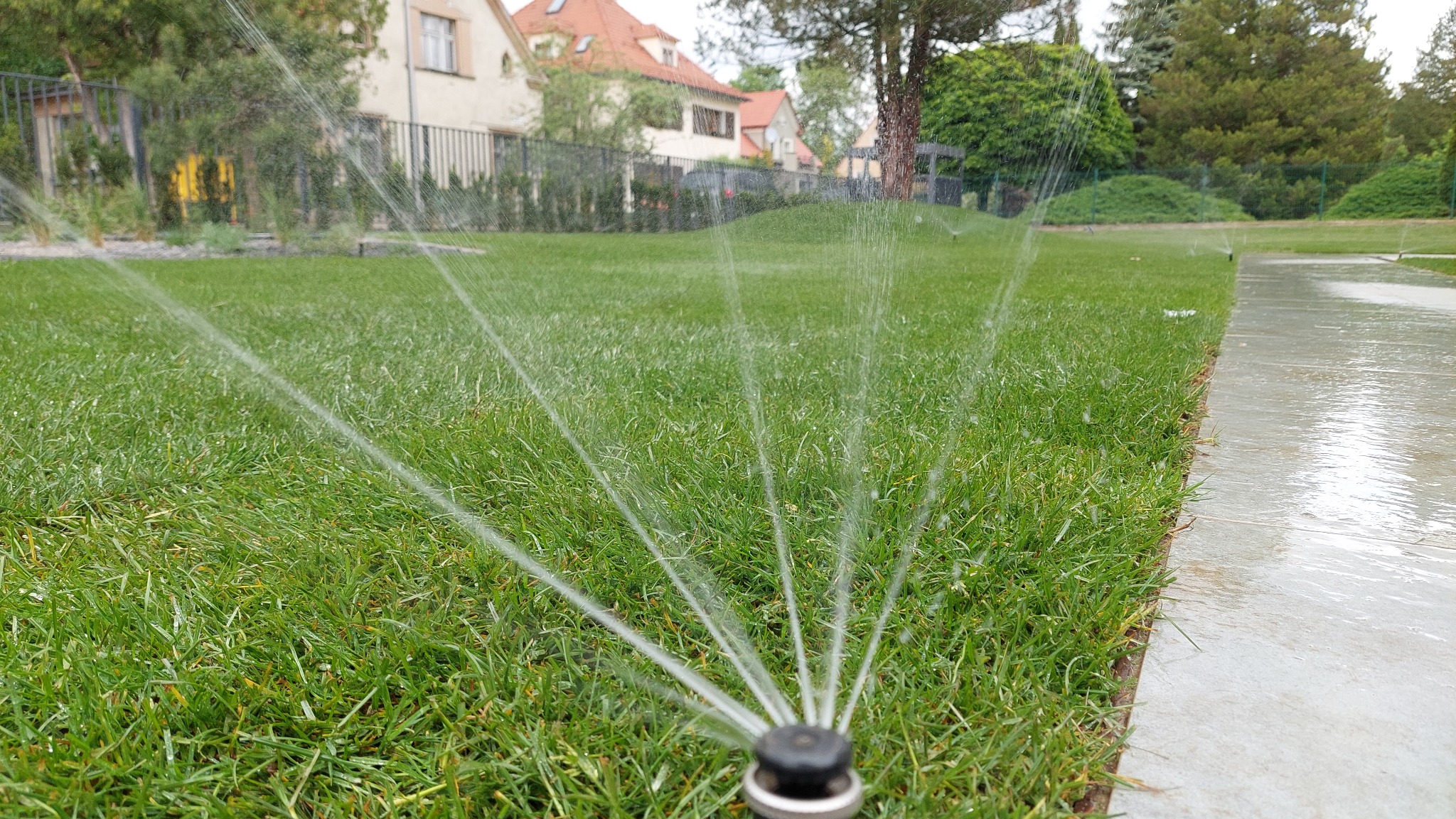 Automatyczny system nawadniania trawnika w trakcie pracy, z widocznymi dyszami rozpylającymi wodę na tle zielonej trawy i zabudowań.