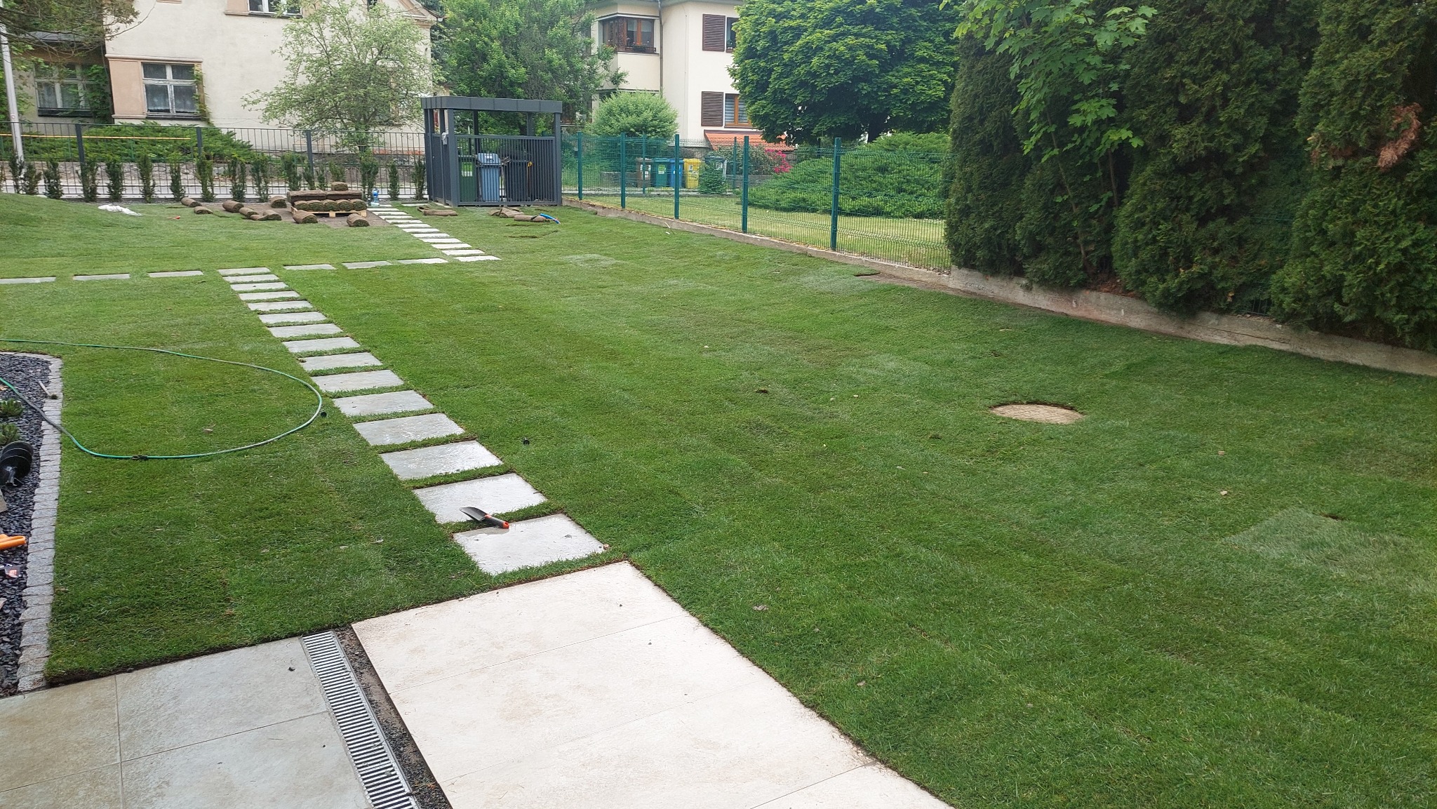 Świeżo założony trawnik z rolki, z wytyczoną ścieżką z płyt chodnikowych, widoczny fragment ogrodzenia panelowego i przygotowane rolki trawy w tle.