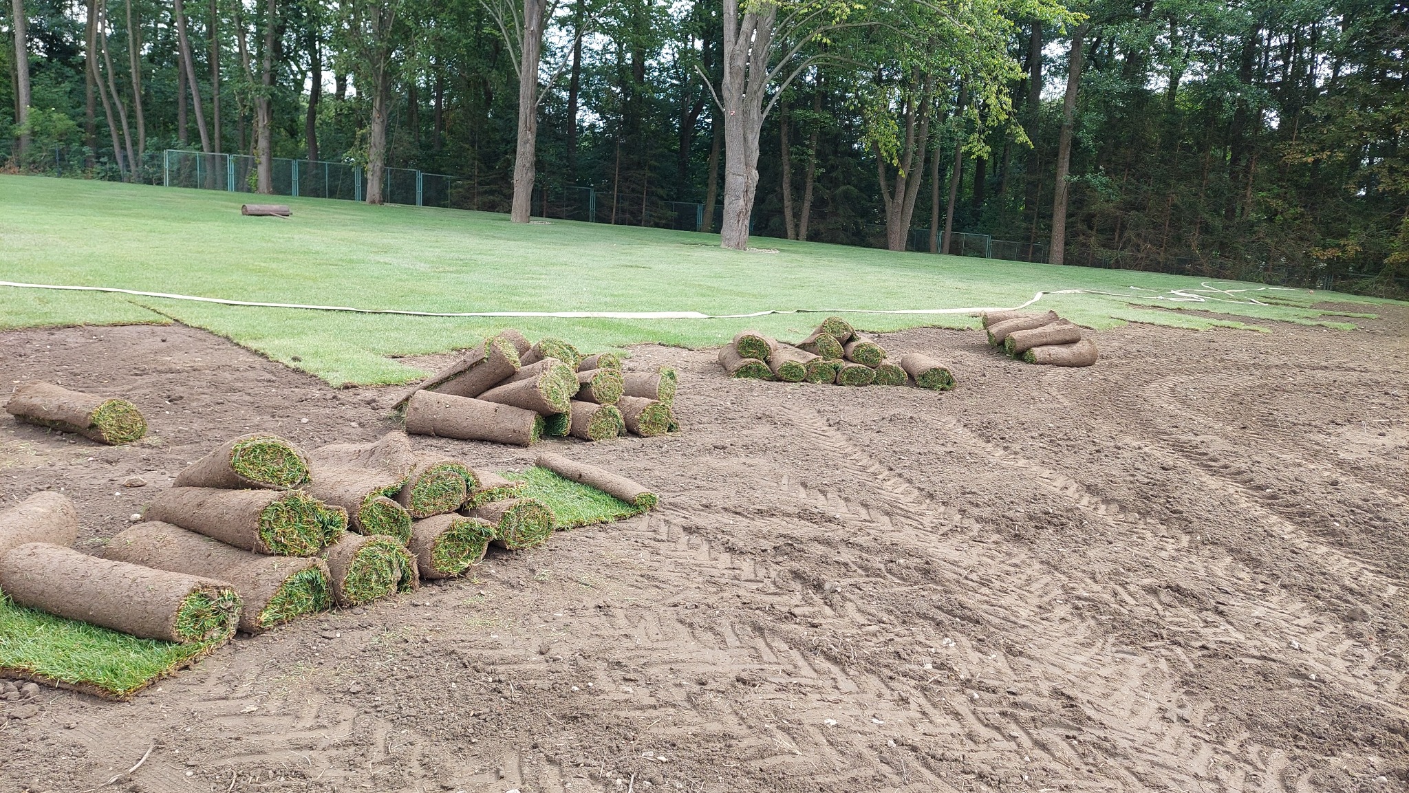 Rozłożone i zwinięte rolki trawy na przygotowanym terenie, widoczne ślady opon, w tle trawnik i drzewa.
