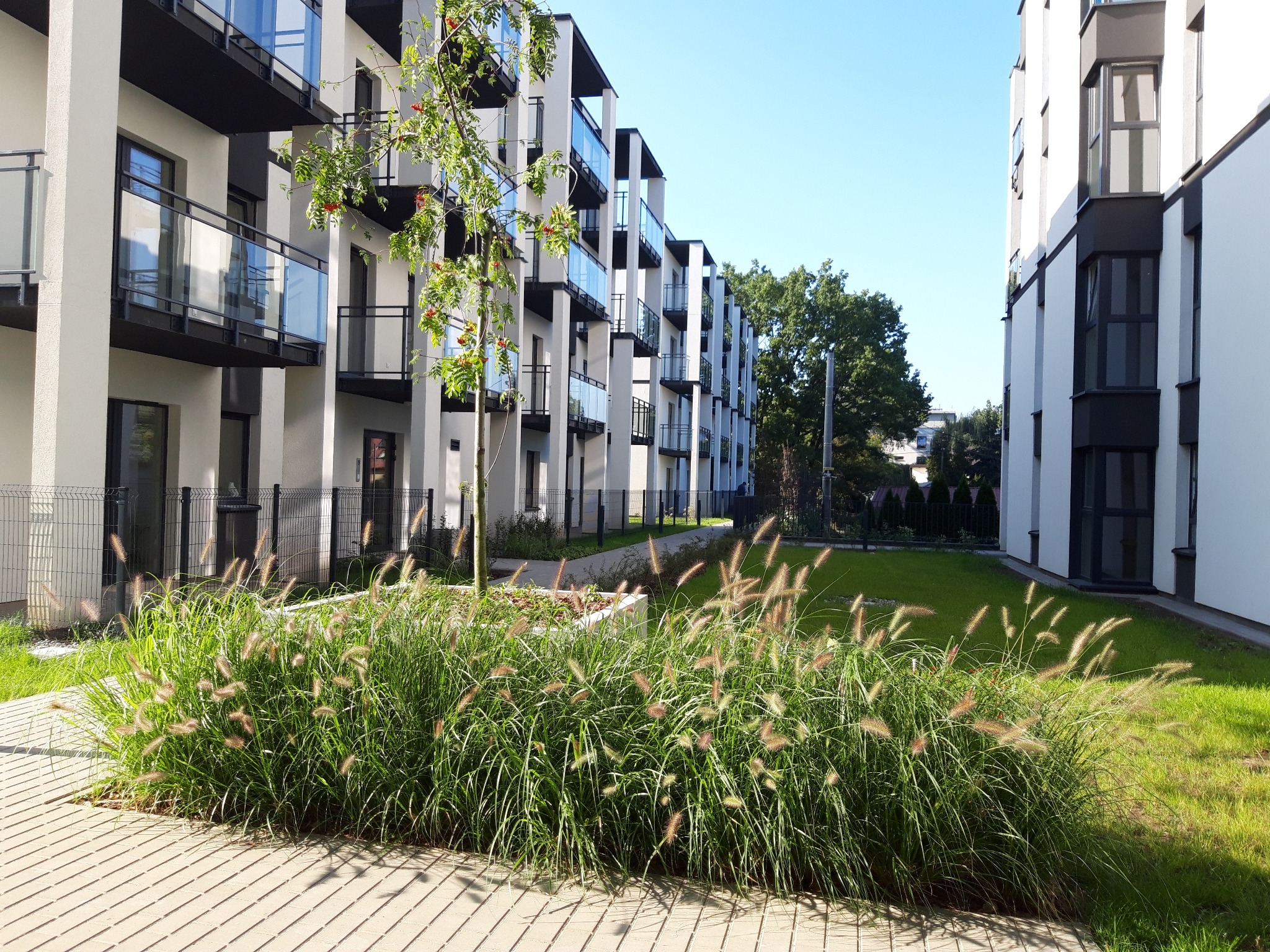 Zabudowa wielorodzinna w W-wie