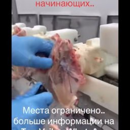 Outsourcing pracowników Poznań 3