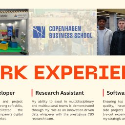 Doświadczenie zawodowe