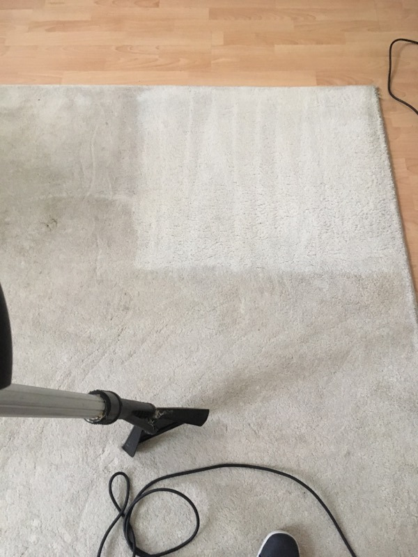 Fragment jasnego dywanu z widoczną różnicą w czystości po czyszczeniu odkurzaczem piorącym, na podłodze z paneli.