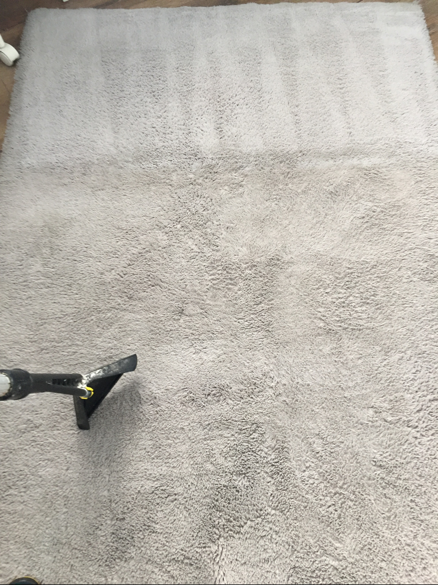 Pranie jasnoszarego dywanu w Gdyni za pomocą profesjonalnego odkurzacza piorącego, widoczne świeżo wyczyszczone pasy.