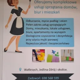 Ilustracja reklamowa usług porządkowych: stylizowana pokojówka z miotełką z piór, oferta kompleksowego sprzątania domów, biur i mieszkań, ekologiczne czyszczenie parowe, Wałbrzych, Jedlina-Zdrój...