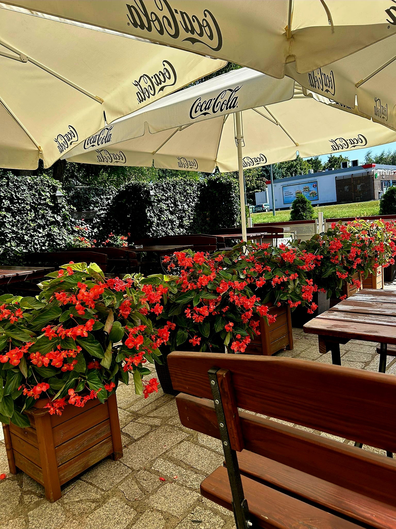 Zewnętrzny ogródek restauracyjny z drewnianymi ławkami, stołami i donicami z czerwonymi kwiatami, osłonięty parasolami z logo Coca-Cola.
