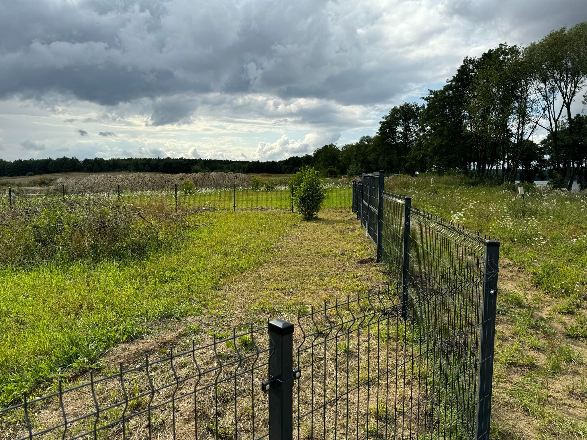 Nowoczesne, metalowe ogrodzenie panelowe w kolorze grafitowym, oddzielające zielony teren z trawą i polnymi kwiatami od dalszej części działki, widok w pochmurny dzień.