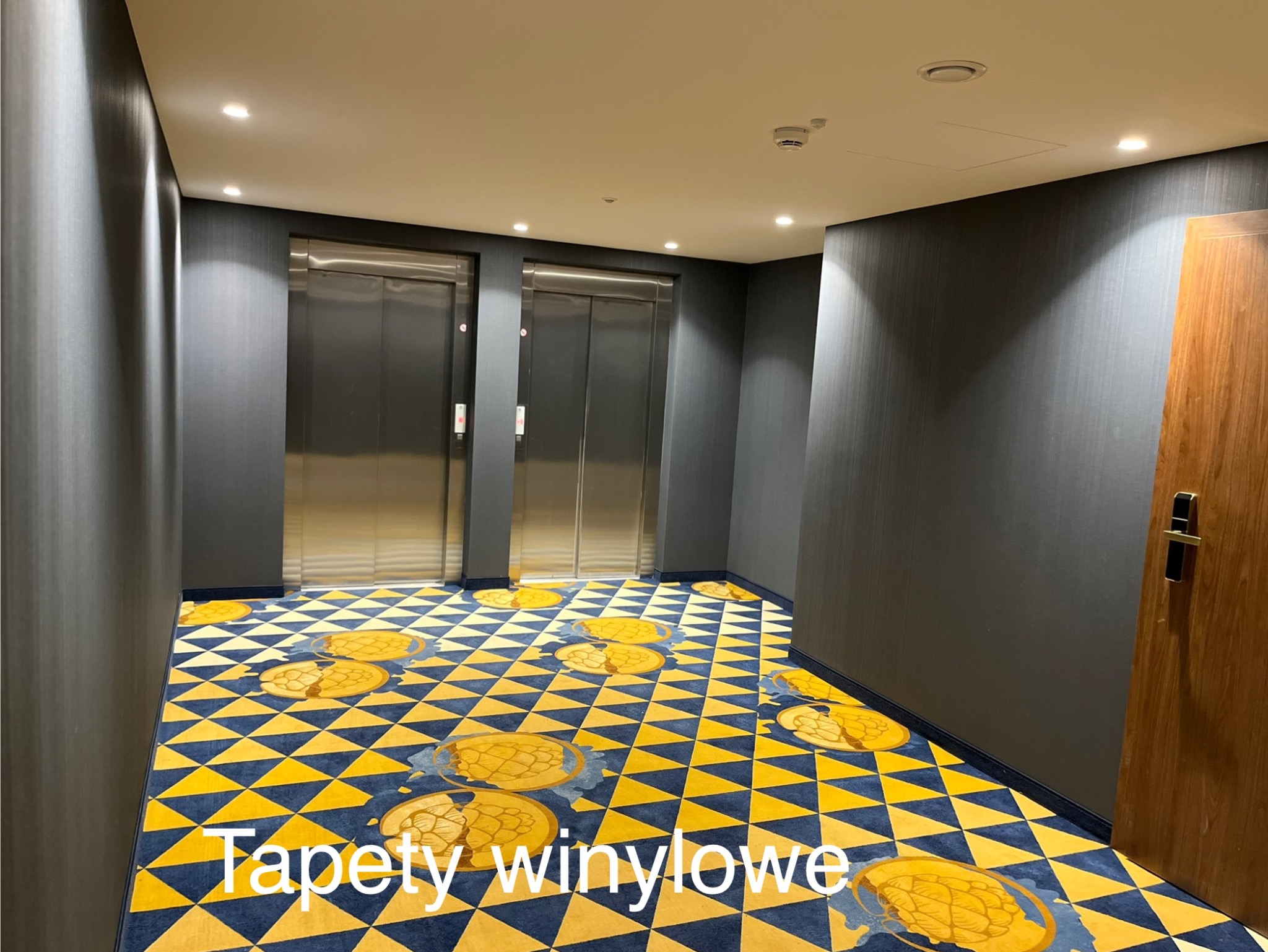 Korytarz z dwoma windami i wzorzystą podłogą w żółto-niebieskie trójkąty i okrągłe motywy, ściany pokryte ciemną tapetą z delikatną fakturą.