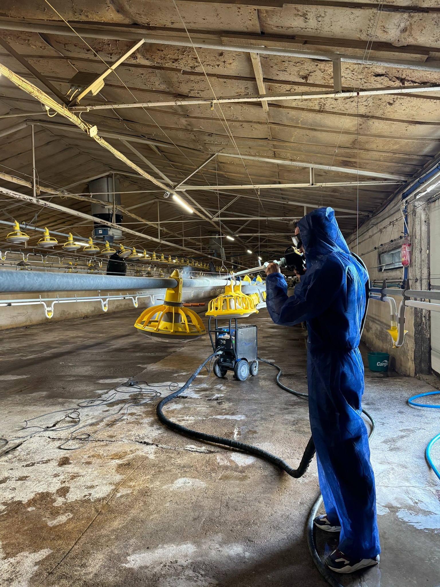 Pracownik w niebieskim kombinezonie ochronnym i masce czyszczący halę z żółtymi karmnikami dla drobiu za pomocą urządzenia wysokociśnieniowego; widoczny wózek z urządzeniem i mokra posadzka.