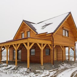 Domy szkieletowe Lewin Brzeski 1