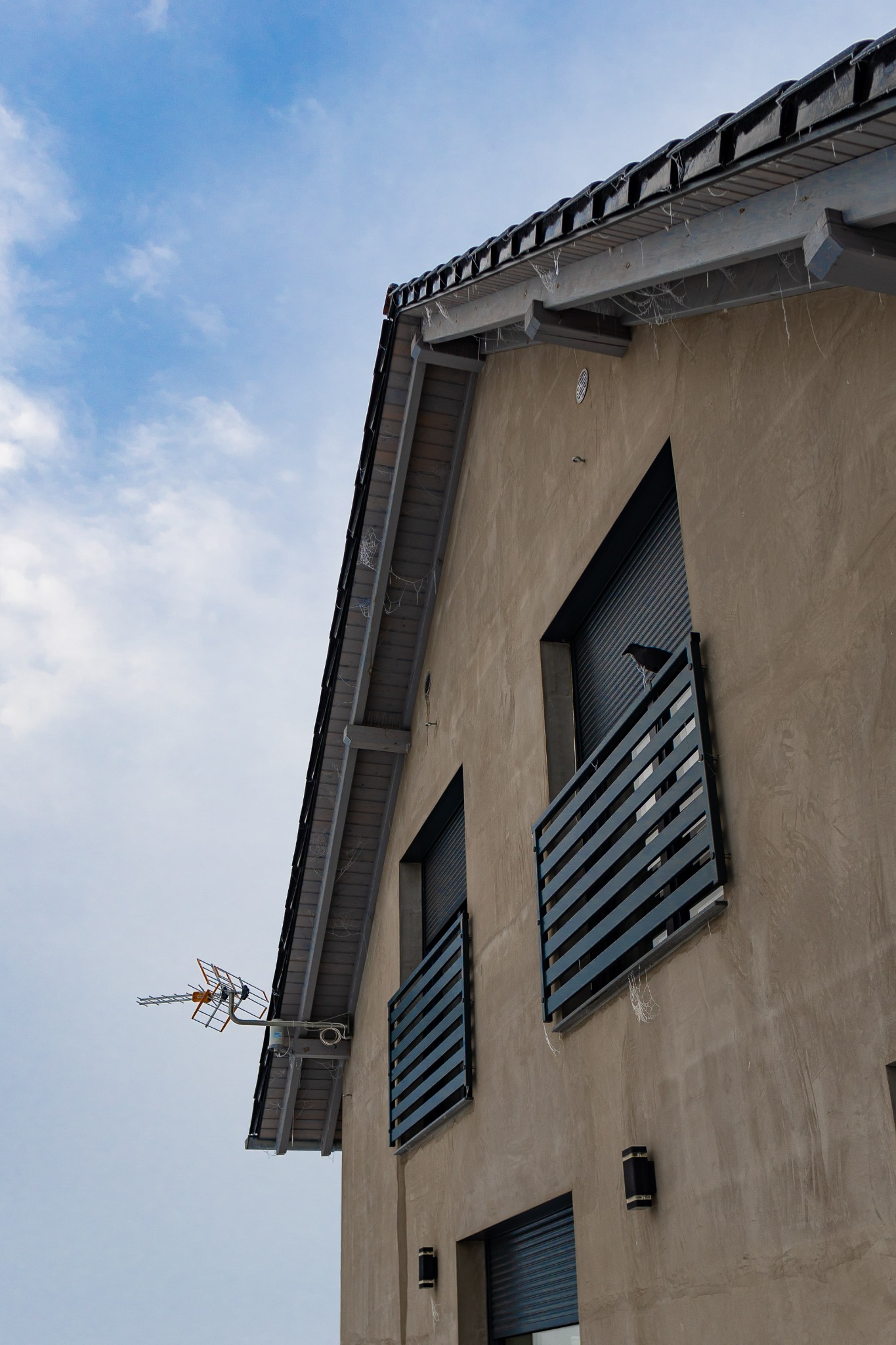 Fragment elewacji domu z balkonami z poziomymi barierkami, na jednym z balkonów siedzi ptak, na dachu widoczna antena telewizyjna.