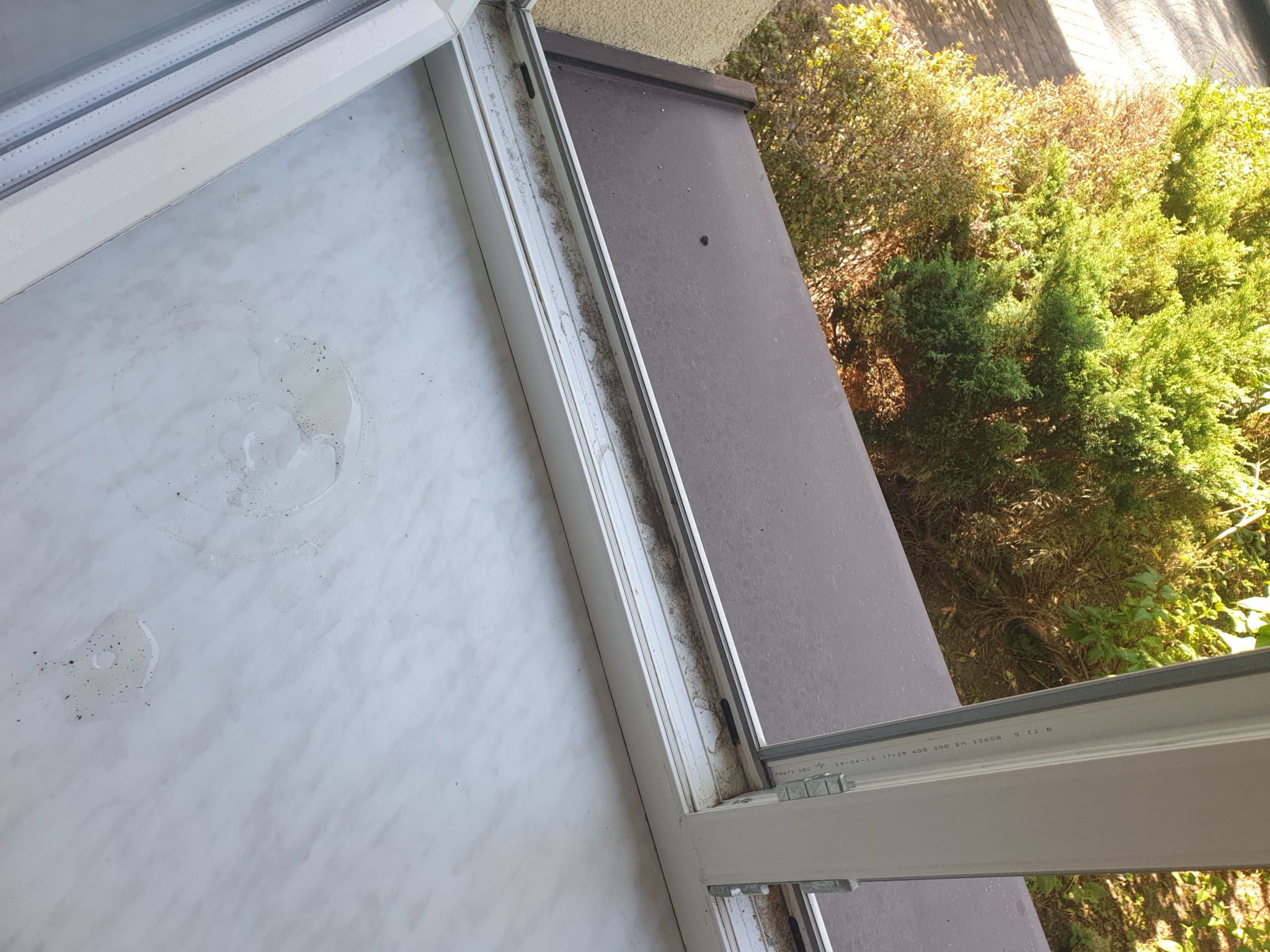 Brudny parapet okienny z widocznymi plamami i osadami, zarośnięty widok na zewnątrz.