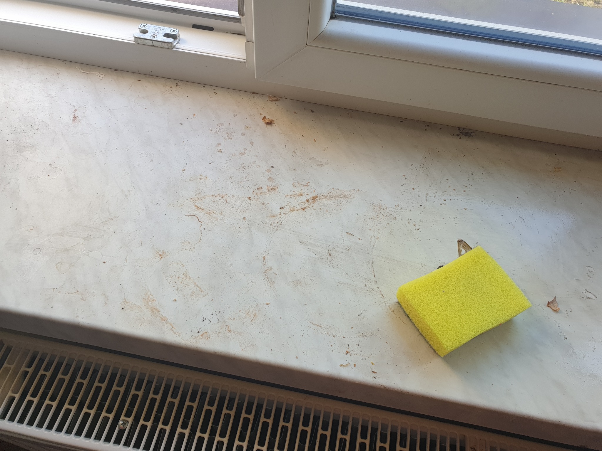 Żółta gąbka leży na brudnym parapecie okiennym z widocznymi zabrudzeniami i okruchami, w tle grzejnik.