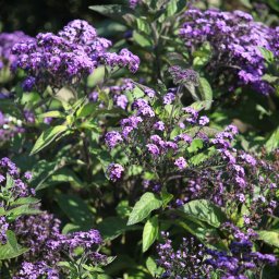 Fotograf ślubny Kraków 1