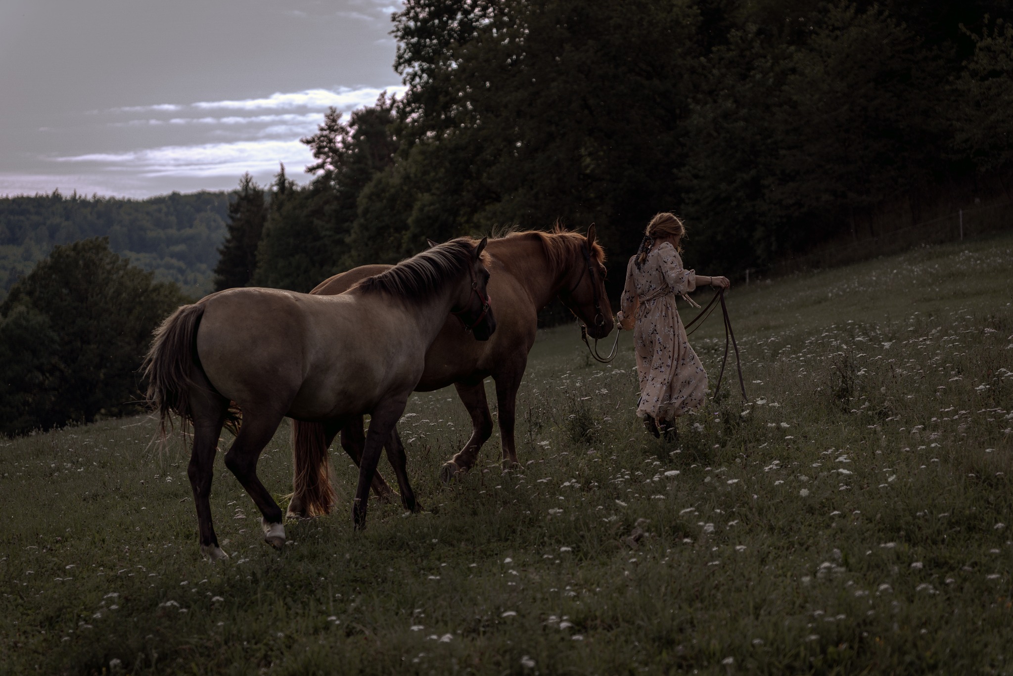 Kobieta w kwiecistej sukience prowadzi dwa konie na łące pełnej białych kwiatów, w tle las i pochmurne niebo.