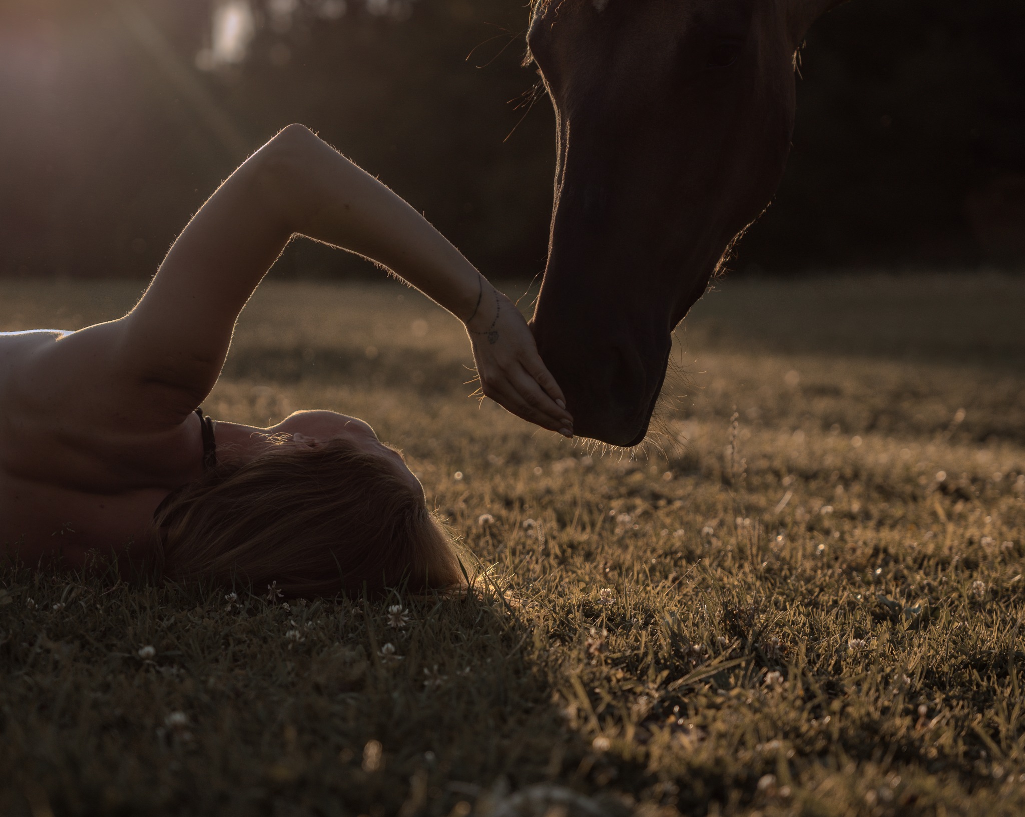 Kobieta leżąca na trawie dotyka dłonią pyska konia w ciepłym, zachodzącym słońcu; subtelny tatuaż na nadgarstku kobiety.