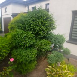 Pielęgnacja ogrodów Pruszków 2