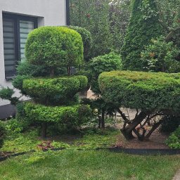 Pielęgnacja ogrodów Pruszków 3