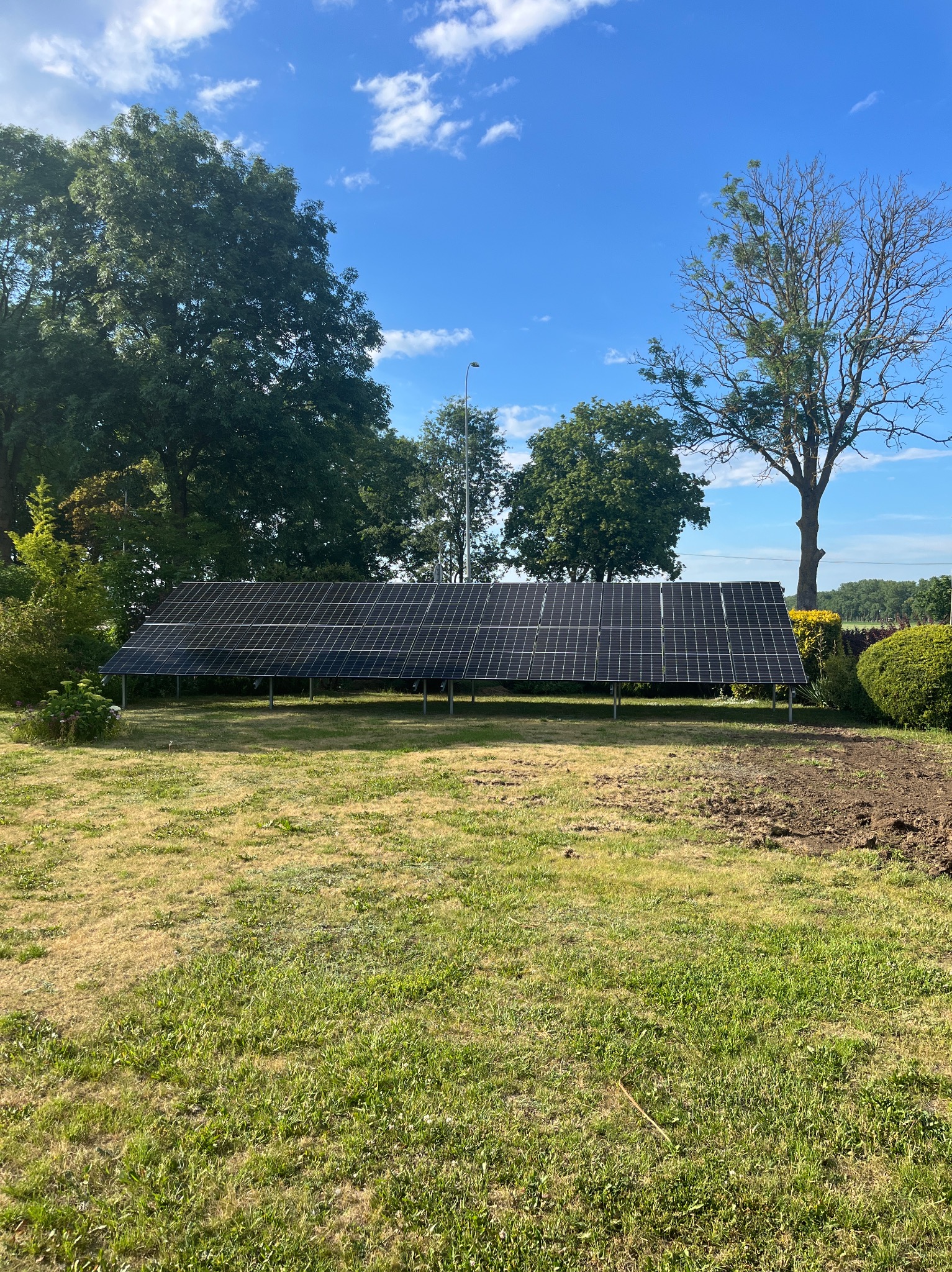 Rząd paneli słonecznych na metalowej konstrukcji, ustawiony na trawniku przed drzewami i krzewami pod błękitnym niebem.
