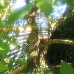 Pieśń Duszy- holistyczne wsparcie dla ciała, ducha i umysłu. - Instrumenty i natura