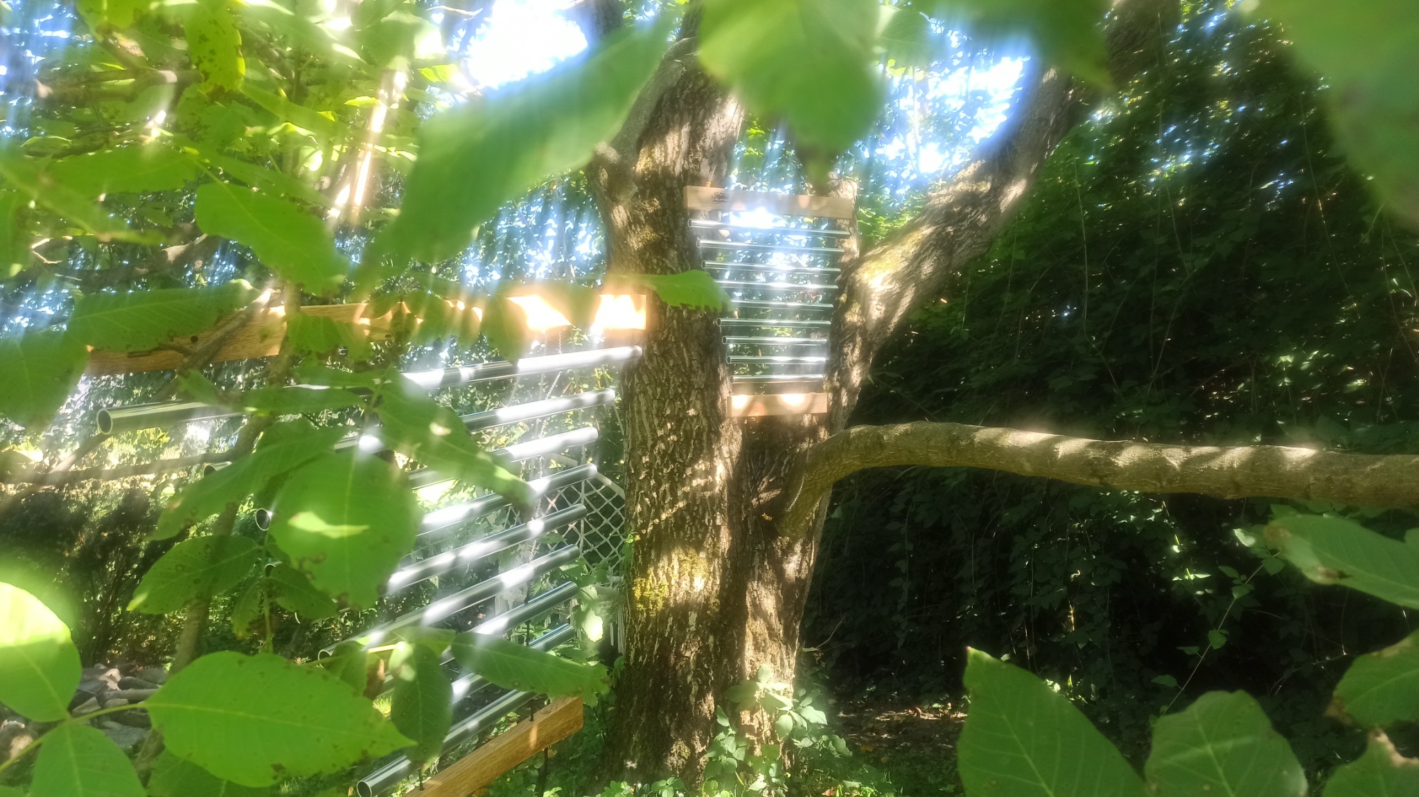 Instrumenty i natura