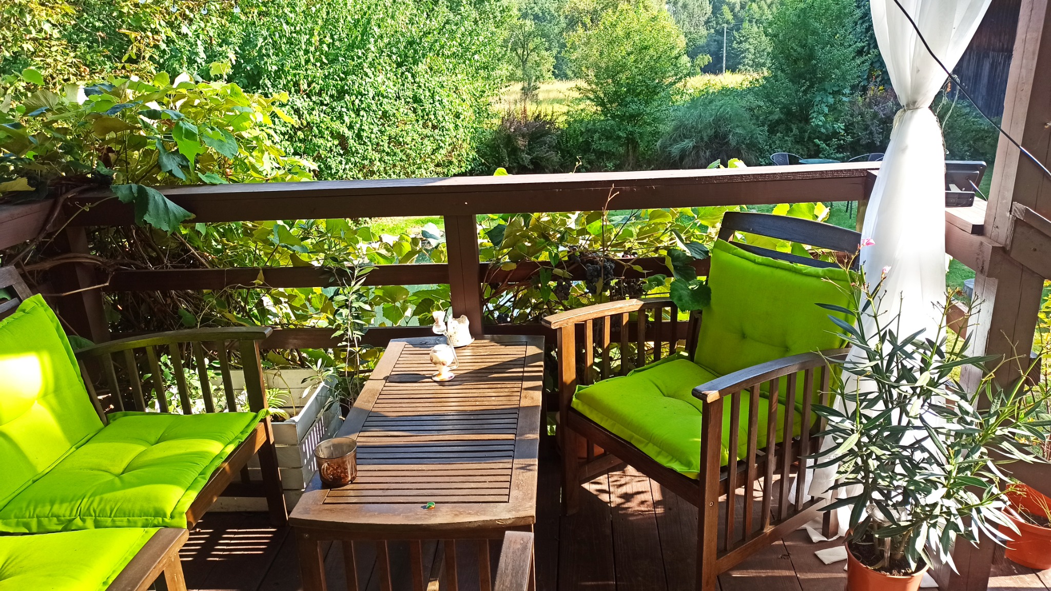 Drewniany taras z meblami ogrodowymi: stół z dekoracjami, krzesła z jaskrawozielonymi poduszkami, roślina w doniczce, widok na zieleń za balustradą.