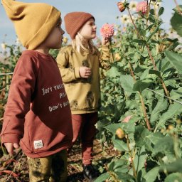 Fot. Własność klienta