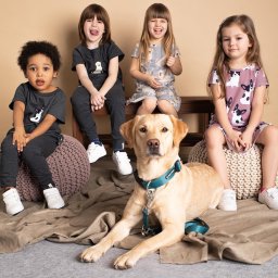 AIDY - Produkcja Odzieży - Czterech uśmiechniętych dzieci siedzi na drewnianej ławce i pufach w ubraniach z nadrukiem psów rasy buldog francuski, a u ich stóp leży pies rasy labrador w turkusowej obroży.