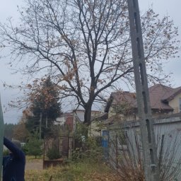 Wycinka drzew Piaseczno 4