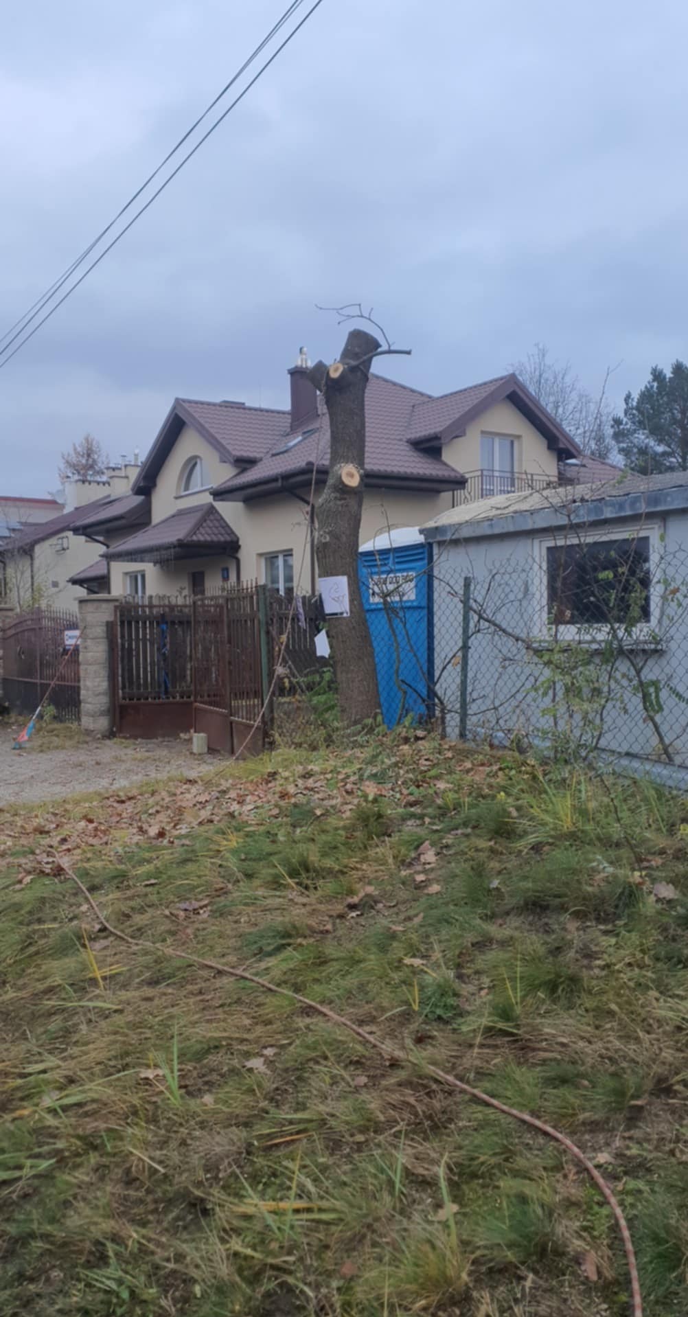 Przycięte drzewo w ogrodzie, widoczny pień z obciętymi konarami, obok niebieska toaleta przenośna, w tle dom jednorodzinny.