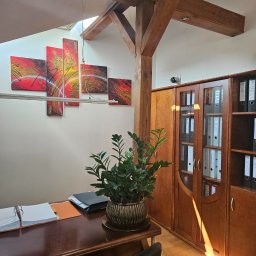 KANCELARIA PODATKOWA RENATA SMOLEŃ SPÓŁKA Z OGRANICZONĄ ODPOWIEDZIALNOŚCIĄ - Biuro z drewnianą konstrukcją stropu, obrazami abstrakcyjnymi, szafą z segregatorami i kwiatem w ozdobnej doniczce na biurku